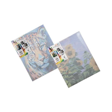 Canvas, Paint by Number, 40x50cm